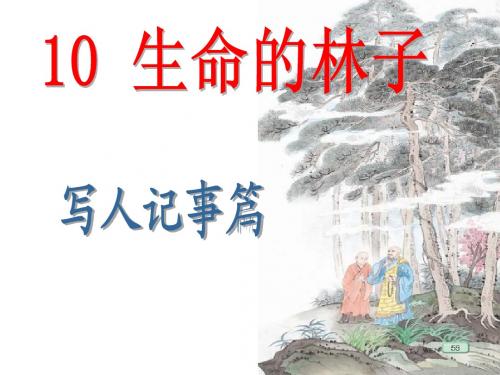 10生命的林子(第2课时)