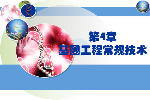 基因工程常规技术-核酸提取纯化