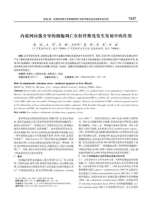 内质网应激介导的细胞凋亡在肝纤维化发生发展中的作用 张旭
