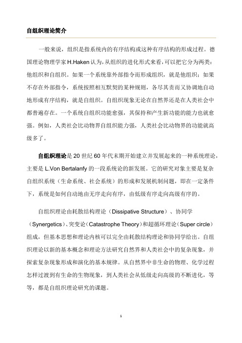 自组织理论简介