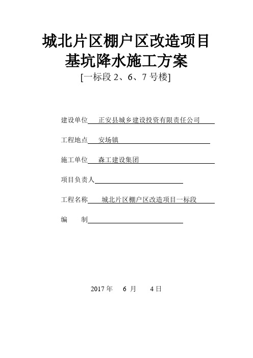井点降水施工组织方案