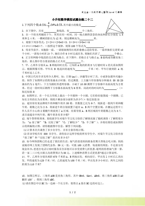 六年级下册数学试题 小升初模拟试题全练二十二 全国版