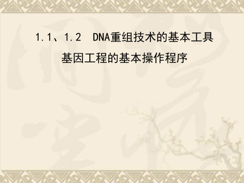 高三生物一轮复习 专题3.1.1-1.2DNA重组技术的基本工具同步课件 新人教版