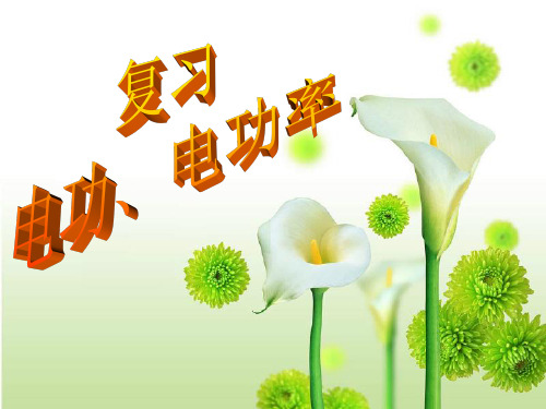从测算家庭电费说起复习课件1
