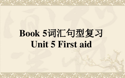 最新人教版高中英语必修五Unit_5_First_aid_词汇句型复习精品ppt课件