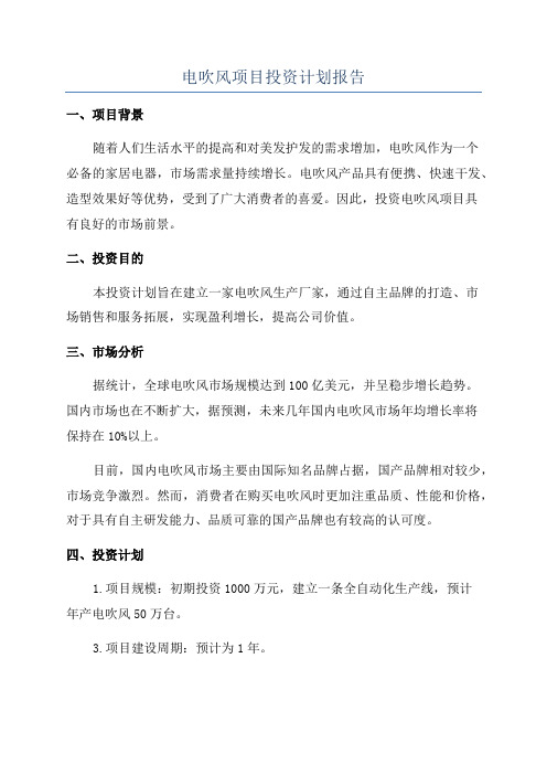 电吹风项目投资计划报告