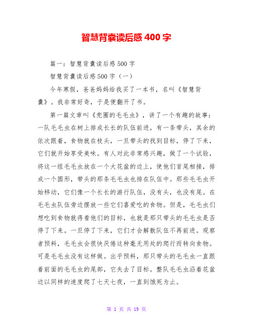 智慧背囊读后感400字