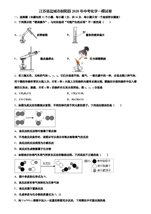 【附20套中考模拟试卷】江苏省盐城市射阳县2020年中考化学一模试卷含解析