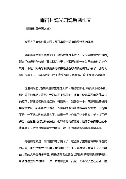 南街村观光园观后感作文