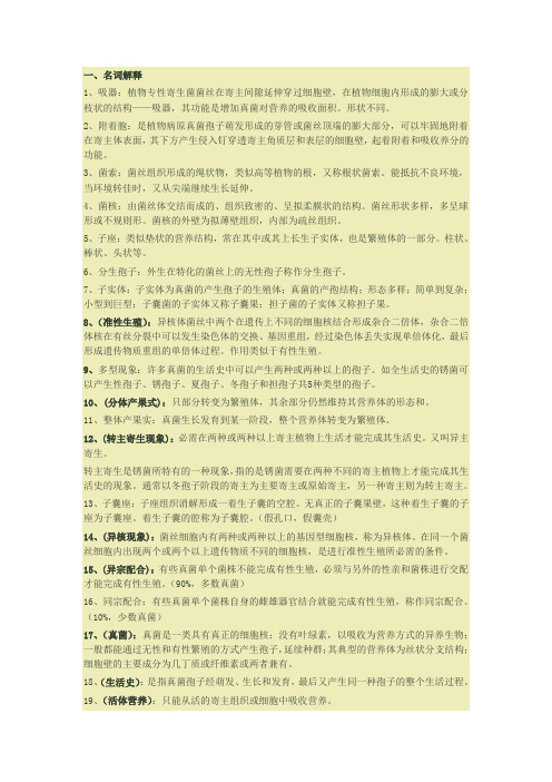 真菌复习1