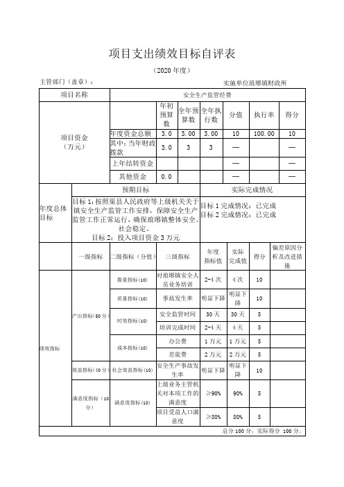 项目支出绩效目标自评表