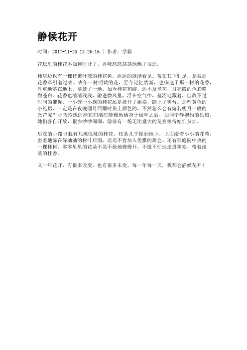 静候花开