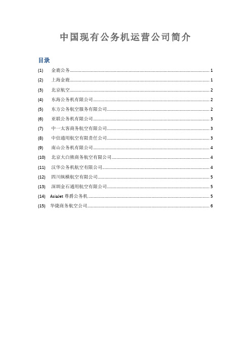中国现有公务机运营公司简介