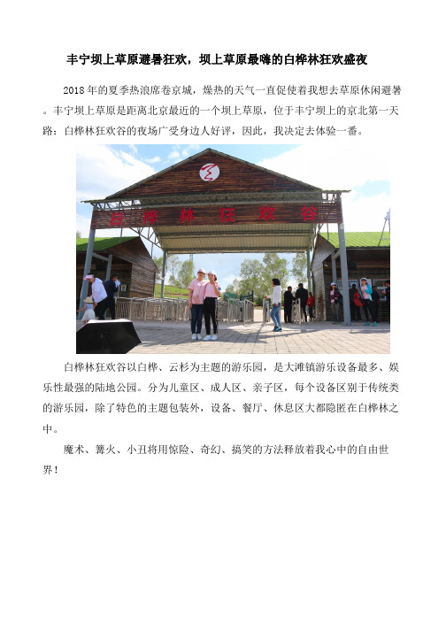 丰宁坝上草原避暑狂欢,坝上草原最嗨的白桦林狂欢盛夜 (1)