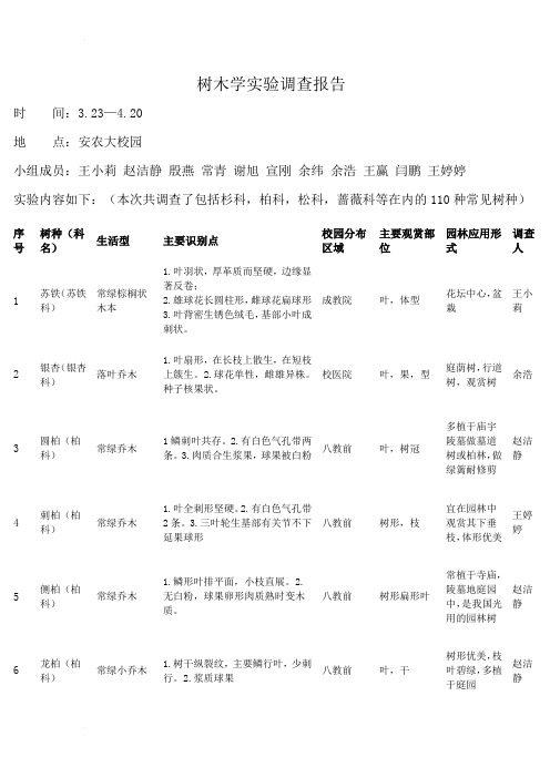 树木学实验调查报告