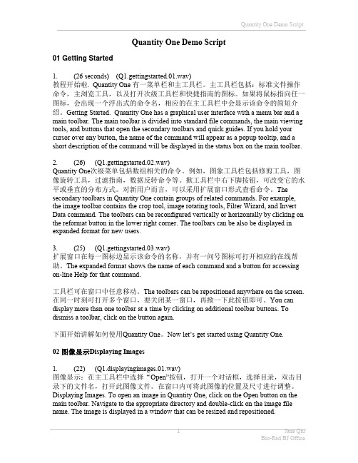 凝胶成相仪中文教程