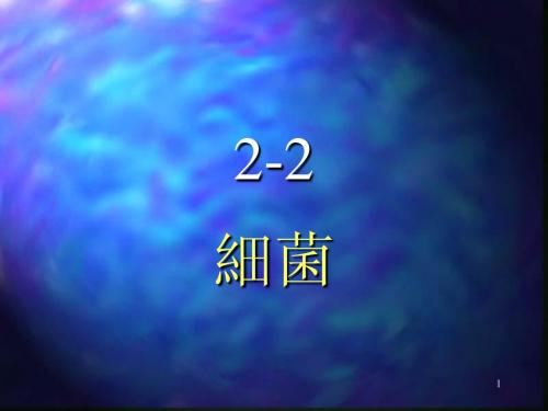 B2-2细菌