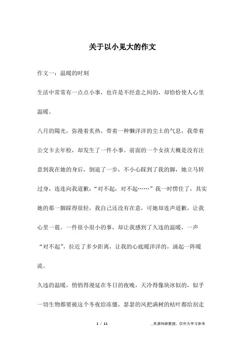 关于以小见大的作文