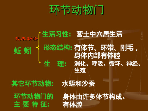 环节动物门中小学PPT教学课件