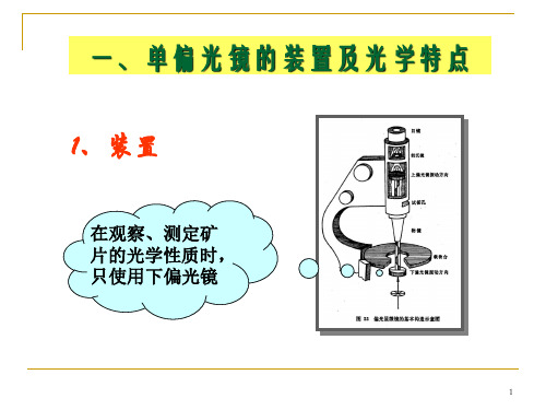 单偏光镜下晶体性质