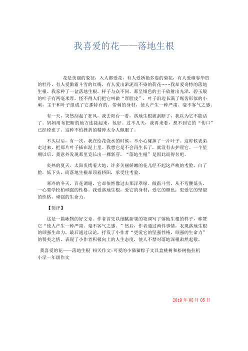 小学作文 我喜爱的花——落地生根-精品