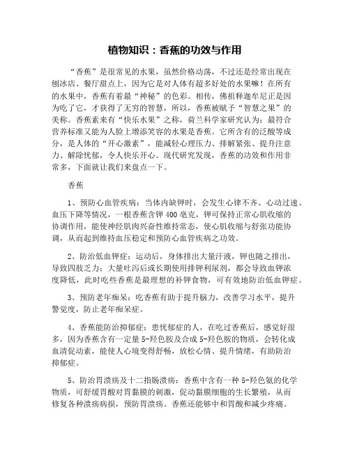 植物知识：香蕉的功效与作用