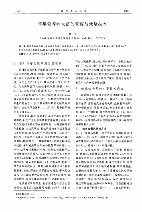 苹果营养钵大苗的繁育与栽培技术