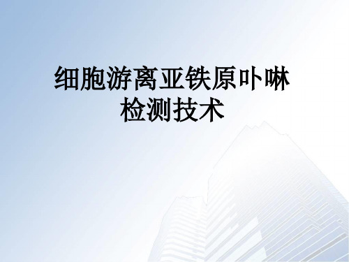 细胞游离亚铁原卟啉检测技术资料(课堂PPT)