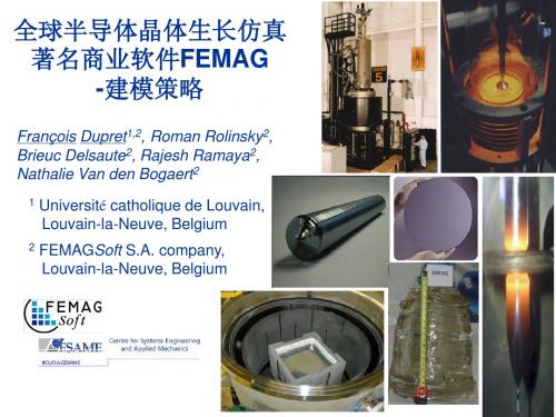 全球半导体晶体生长仿真著名商业软件FEMAG-建模策略