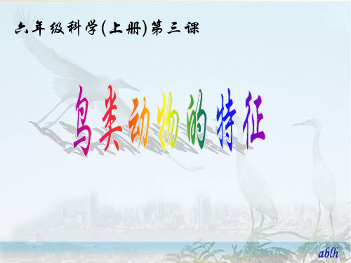 六年级科学(上册)第三课-鸟类动物的特征vf4pp