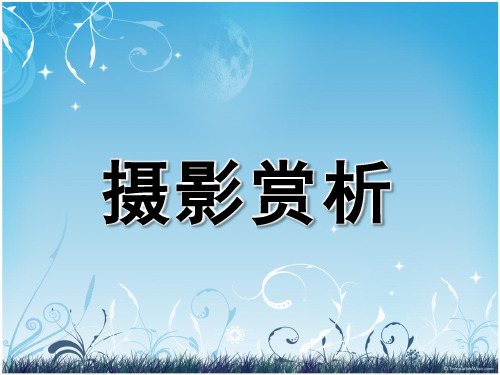 摄影赏析ppt下载