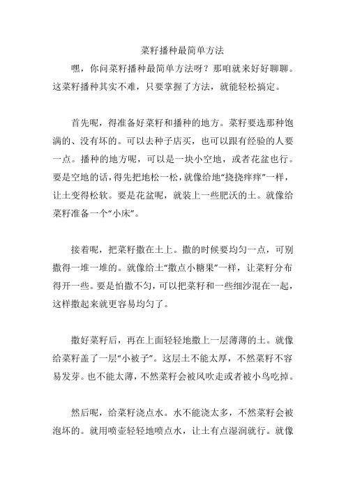 菜籽播种最简单方法