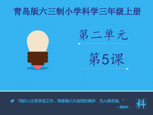 青岛版科学三年级下册《哪杯水多》课件