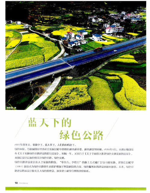 蓝天下的绿色公路