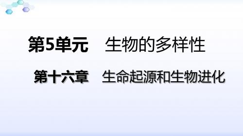 苏教版八年级生物上册第十六章第三节 生物进化的学说导学课件(共19张PPT)