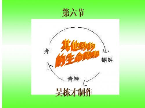 教科版三年级下册科学第二单元第六节《其他动物的生命周期》课件