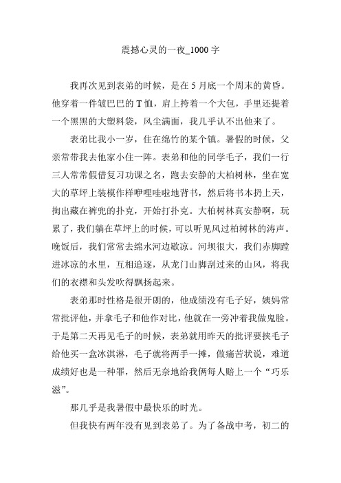 震撼心灵的一夜_1000字