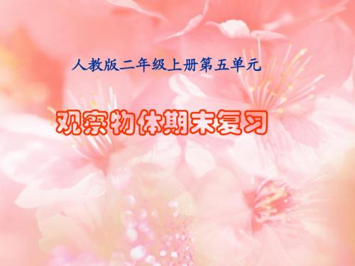 人教版二年级数学上册《观察物体》期末复习课件