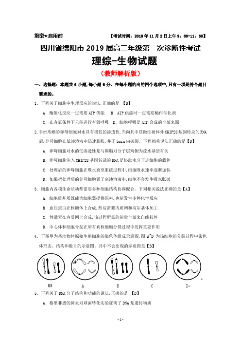 2018年11月四川省绵阳市2019届高三第一次诊断性考试生物试题(教师版)及答案解析