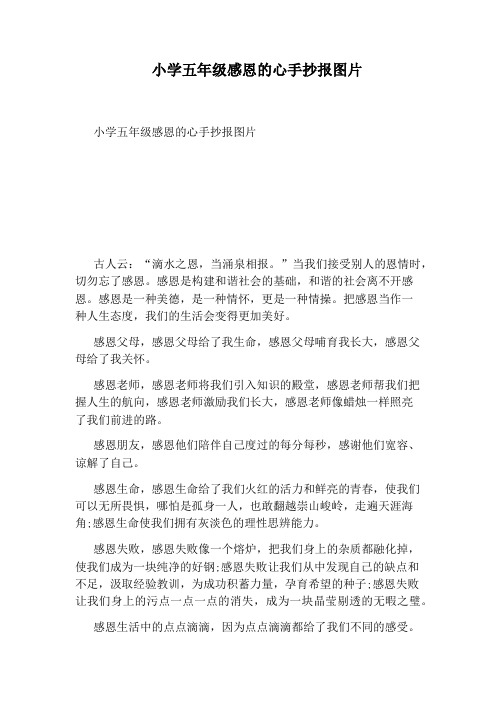小学五年级感恩的心手抄报图片