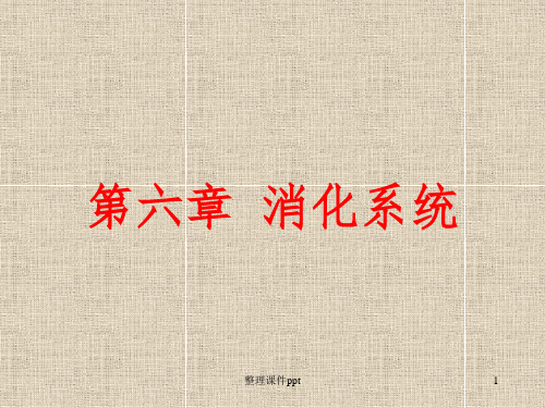 《消化系统》PPT课件