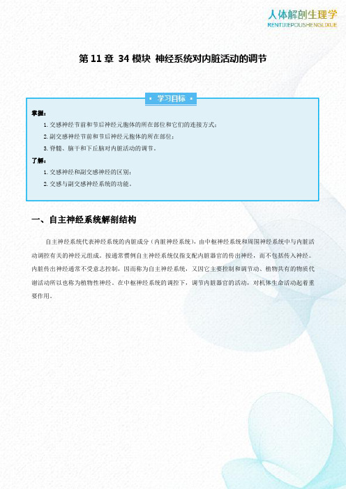 第11章34模块神经系统对内脏活动的调节