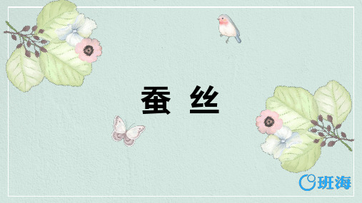 北师大版(新)四下_蚕丝【优质课件】.pptx