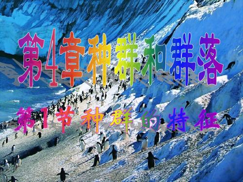 人教版教学课件广东省汕头市澄海中学高二生物41种群的特征课件