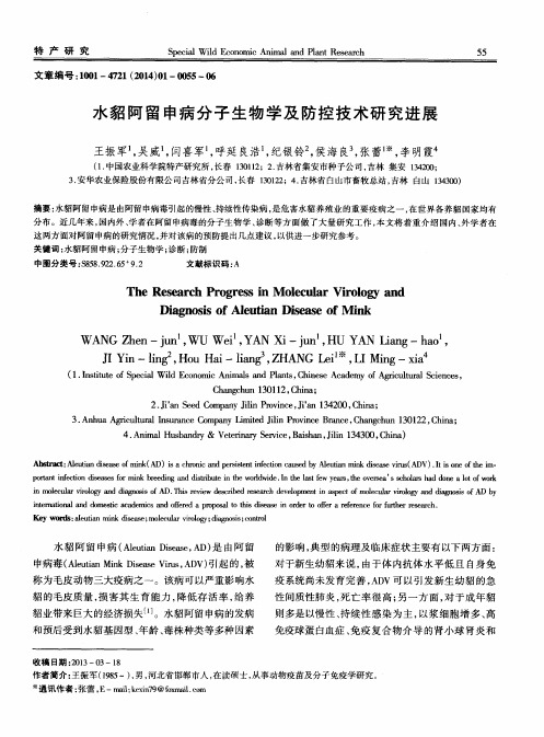 水貂阿留申病分子生物学及防控技术研究进展