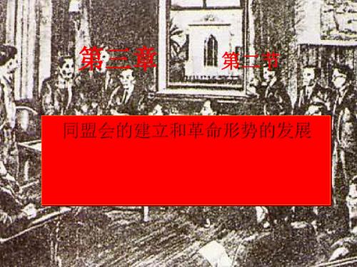 人教版   同盟会的建立和革命形势的发展优秀课件4