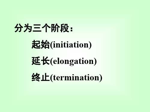 转录过程分为三个阶段起始initiation延长elongation终止