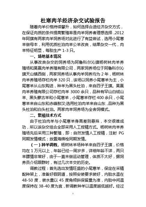 阿旗肉羊经济杂交试验报告20121020
