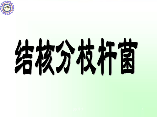 结核分枝杆菌  ppt课件