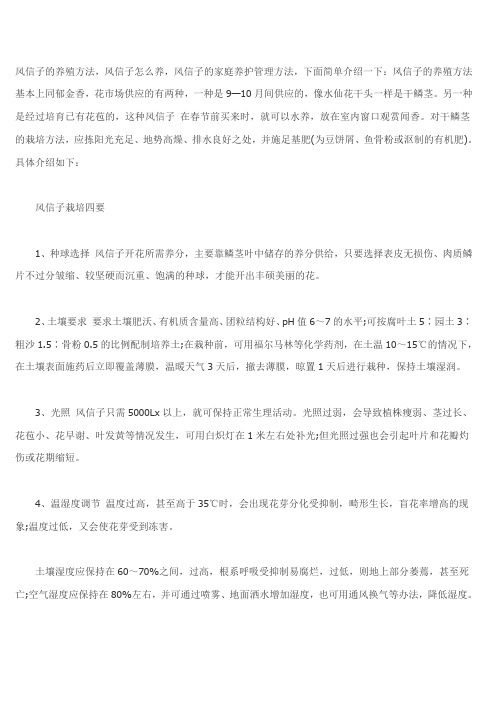 风信子的养殖方法